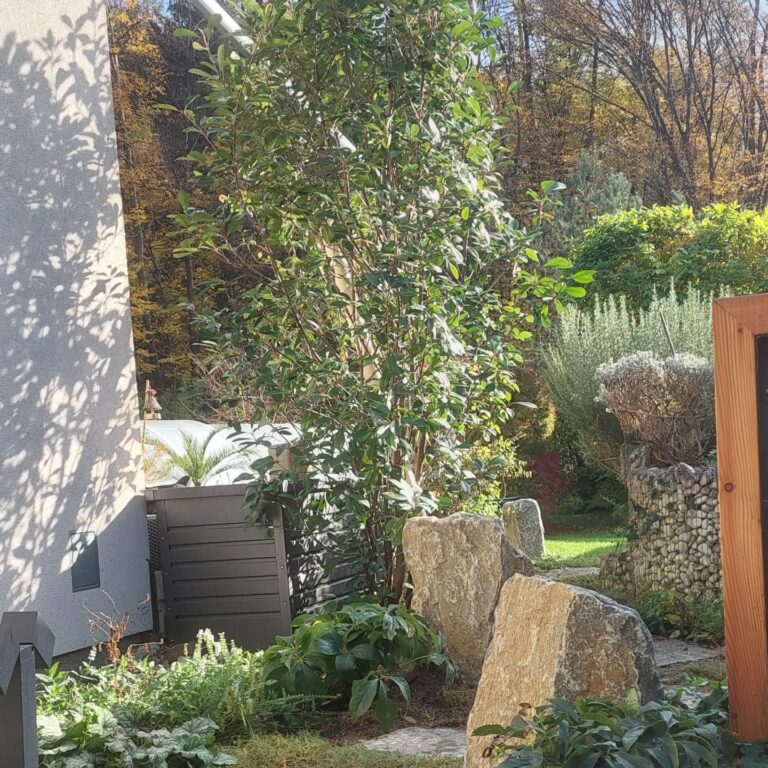 Instagram post from gartenkomposition.fettik_gmbh. This post is in position 3.