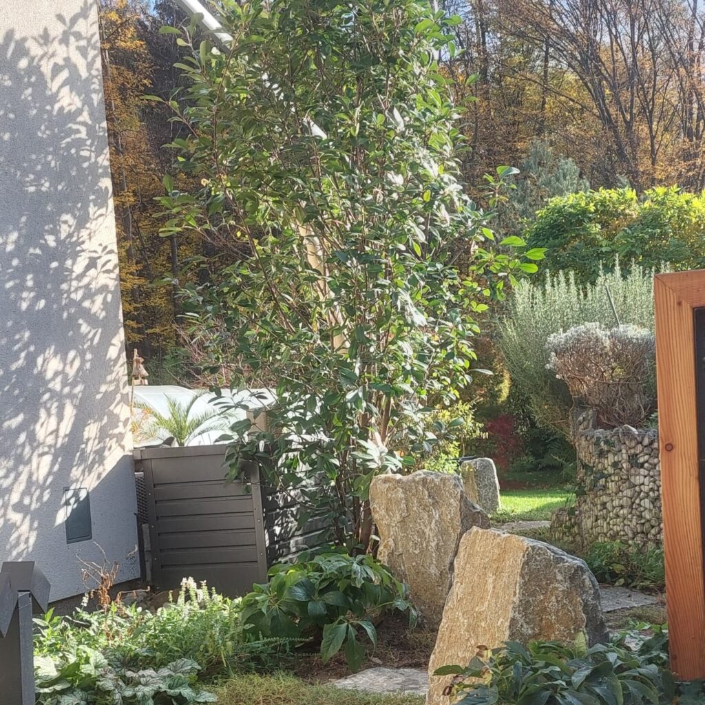 Instagram post from gartenkomposition.fettik_gmbh. This post is in position 0.